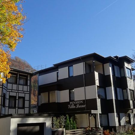 Pension Villa Irene Bad Harzburg Eksteriør bilde
