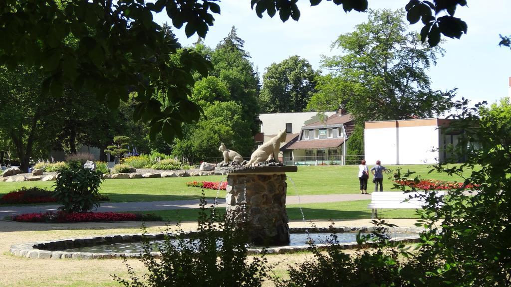 Pension Villa Irene Bad Harzburg Eksteriør bilde